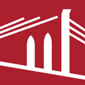 BLS Red Logo